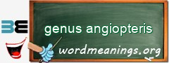 WordMeaning blackboard for genus angiopteris
